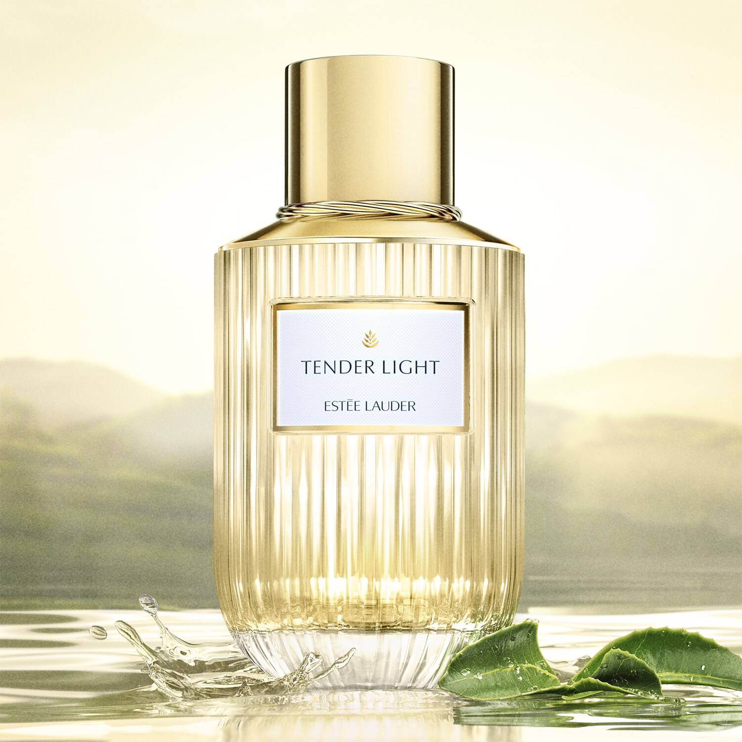 Tender Light Eau de Parfum Spray 100ml